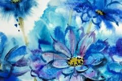 Chrysanthemum