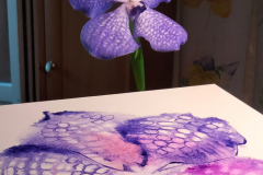 Vanda Orchid